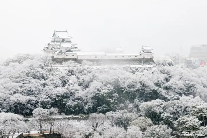 同时沉浸在景色与歴史中的六个和歌山城散步好去处