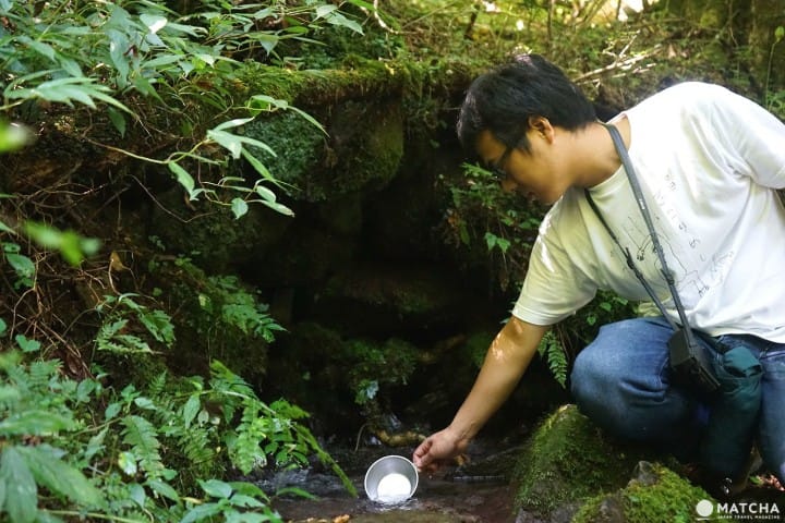 手ぶらでOK!九州の山々の自然を体感しよう ― 奥日田でのアウトドア3選