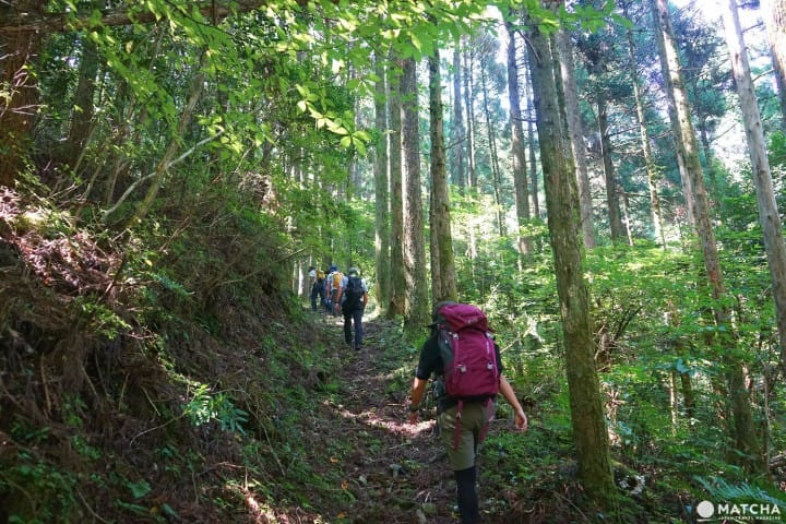 手ぶらでOK!九州の山々の自然を体感しよう ― 奥日田でのアウトドア3選
