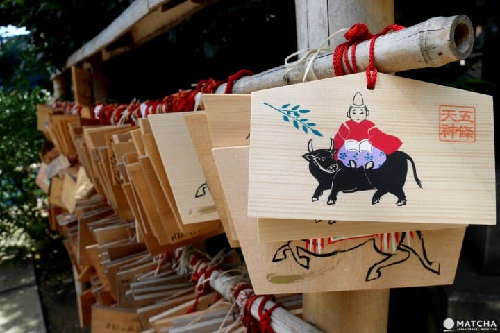 到東京求健康 連毛小孩的健康都顧到的六大神社寺廟 Matcha 日本線上旅遊觀光雜誌