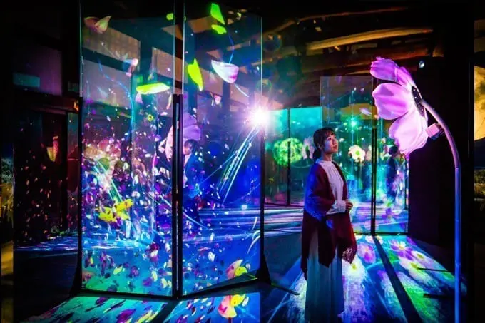 京都二条城「FLOWERS BY NAKED」