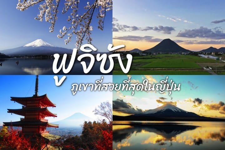 รวมทุกเรื่องที่อยากรู้ของ