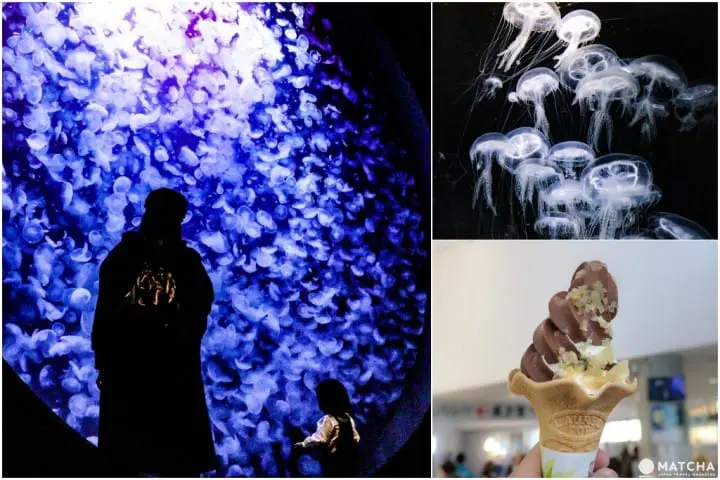 山形新潟モニターツアー 