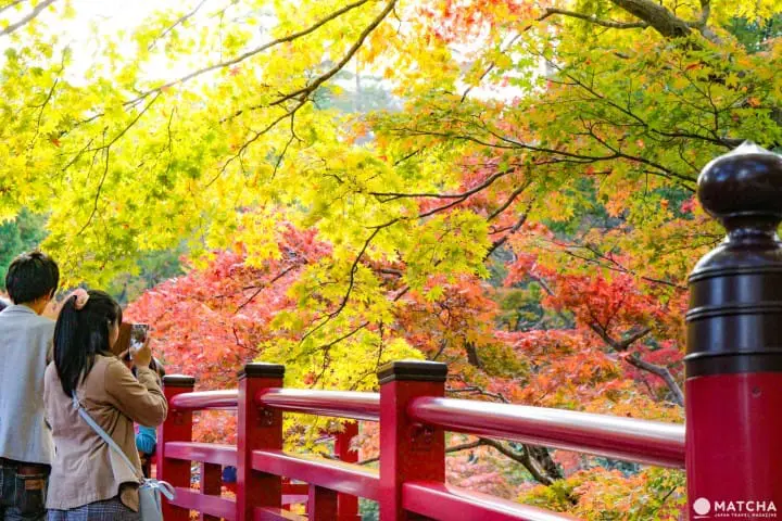 山形新潟モニターツアー 