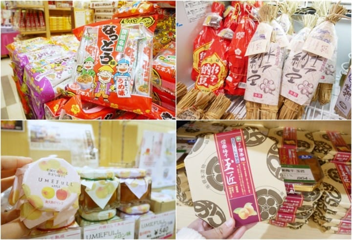 JR TOKYO Wide Pass茨城