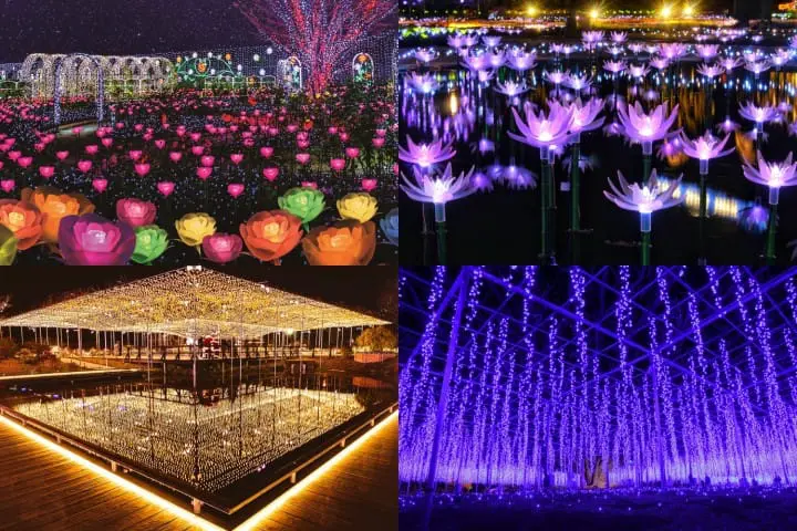 อิลลูมิเนชั่นแสนสวยที่ สวนดอกไม้อาชิคางะ (Ashikaga Flower Park, Tochigi)