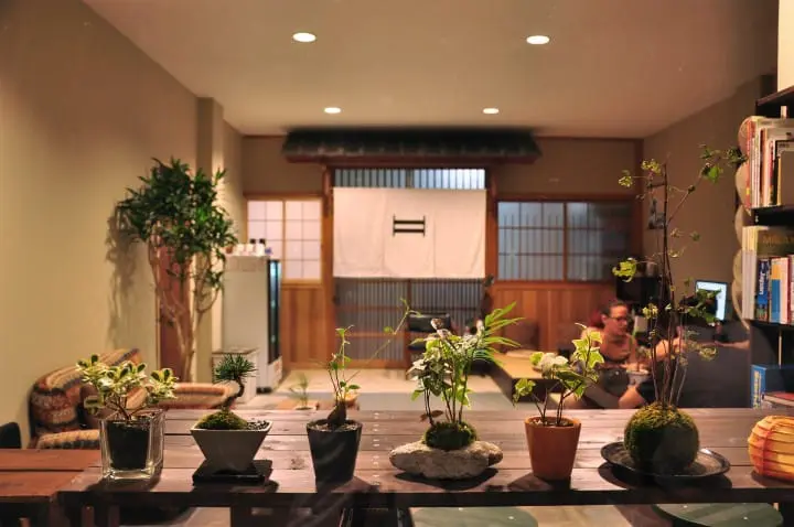 [京都] 鎮店犬坐鎮的日系清新風SUZUKI民宿 