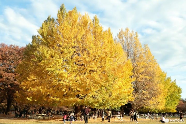光之丘公園