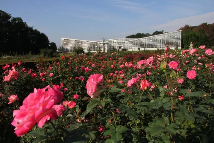 【東京】自然綠意、可愛妖怪與人文咖啡香，在調布的浮生半日閒！