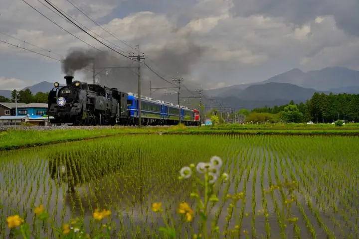 1時間で世界旅行⁈ 日光パスを使ったムスリム旅行者向けのオススメルート