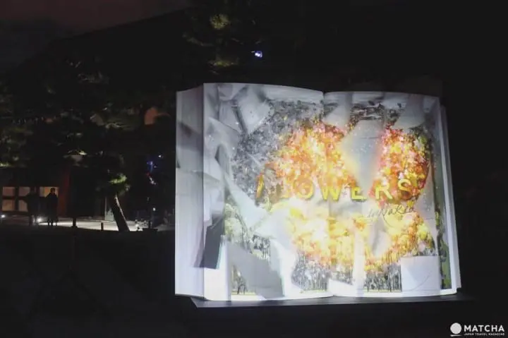 BIG BOOK秋的初風