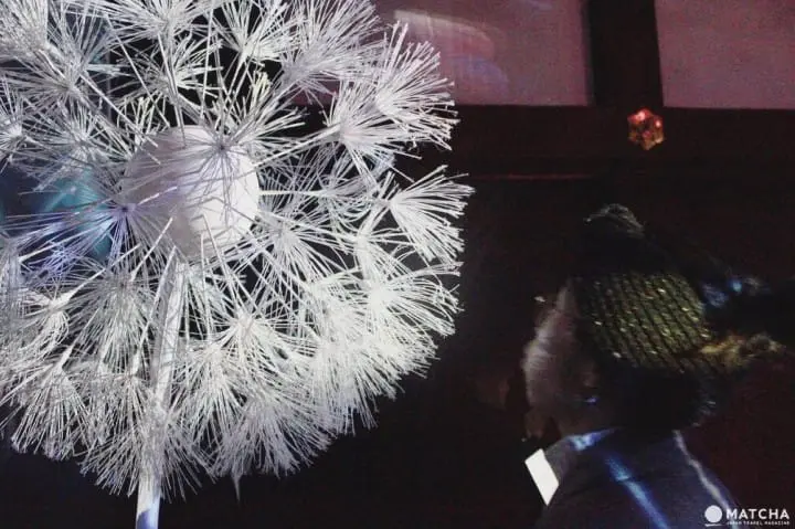 FLOWERS BY NAKED秋櫻與蒲公英