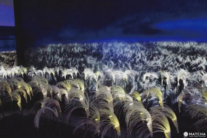 FLOWERS BY NAKED花薄