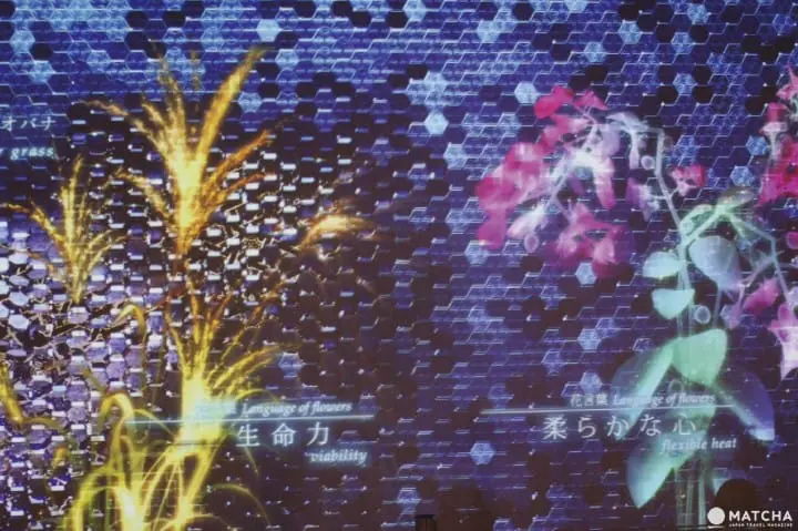 MOSAIC FLOWERS秋的七草