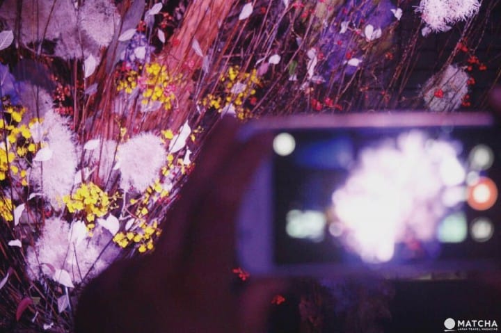 FLOWERS BY NAKED
