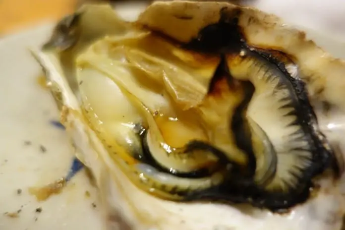 廣島 快活遊 – 本通商店街 (第二章)