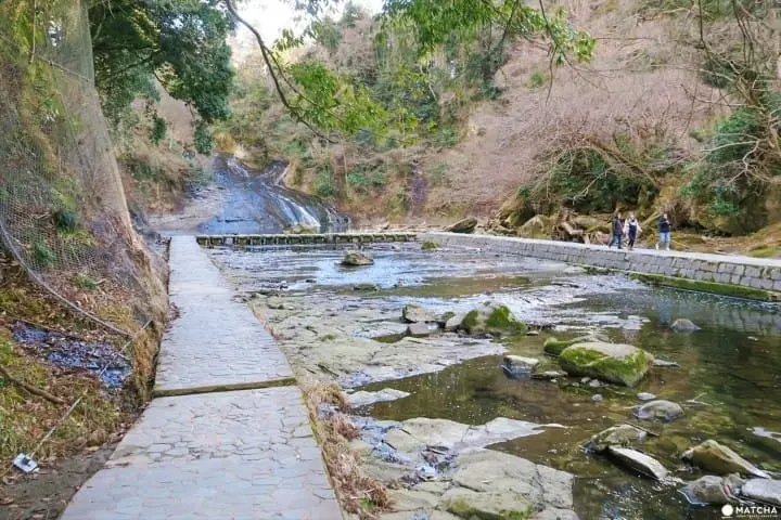 ชมธรรมชาติสี่ฤดูกาลที่ โยโรเคโคคุ จังหวัดชิบะ (Yorokeikoku Ravine, Chiba)