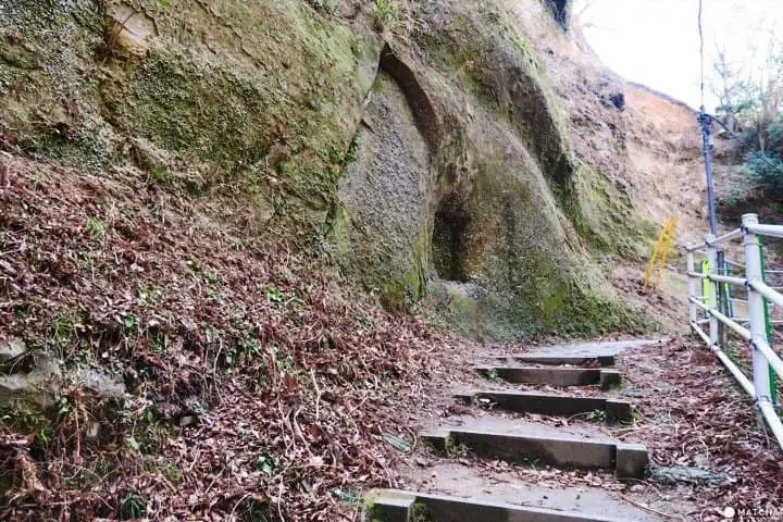 ชมธรรมชาติสี่ฤดูกาลที่ โยโรเคโคคุ จังหวัดชิบะ (Yorokeikoku Ravine, Chiba)