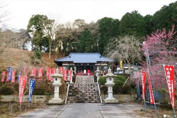 ชมธรรมชาติสี่ฤดูกาลที่ โยโรเคโคคุ จังหวัดชิบะ (Yorokeikoku Ravine, Chiba)