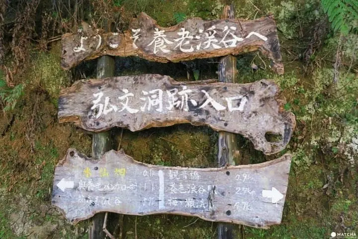 ชมธรรมชาติสี่ฤดูกาลที่ โยโรเคโคคุ จังหวัดชิบะ (Yorokeikoku Ravine, Chiba)