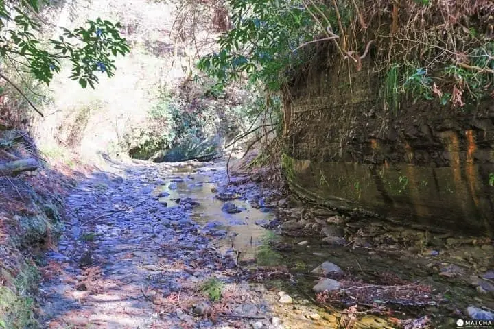ชมธรรมชาติสี่ฤดูกาลที่ โยโรเคโคคุ จังหวัดชิบะ (Yorokeikoku Ravine, Chiba)