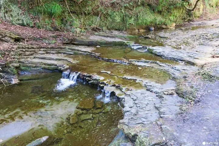 ชมธรรมชาติสี่ฤดูกาลที่ โยโรเคโคคุ จังหวัดชิบะ (Yorokeikoku Ravine, Chiba)