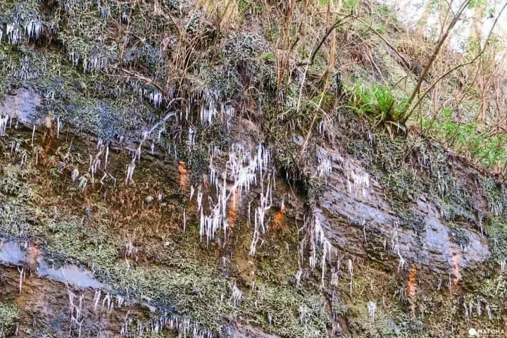 ชมธรรมชาติสี่ฤดูกาลที่ โยโรเคโคคุ จังหวัดชิบะ (Yorokeikoku Ravine, Chiba)