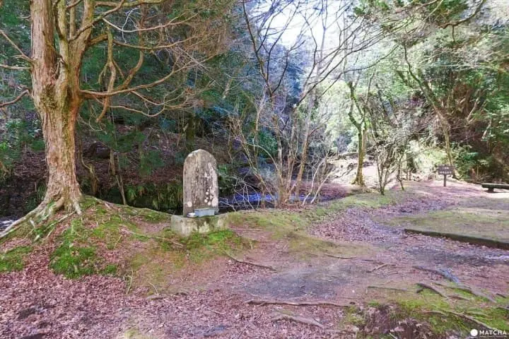 ชมธรรมชาติสี่ฤดูกาลที่ โยโรเคโคคุ จังหวัดชิบะ (Yorokeikoku Ravine, Chiba)