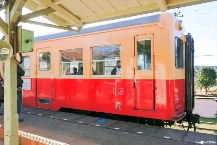 ชมธรรมชาติสี่ฤดูกาลที่ โยโรเคโคคุ จังหวัดชิบะ (Yorokeikoku Ravine, Chiba)