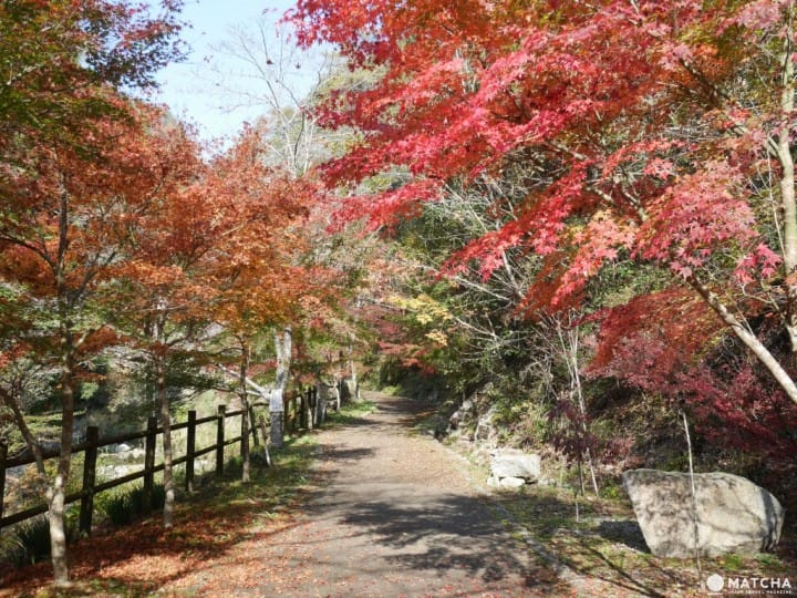 塩江温泉