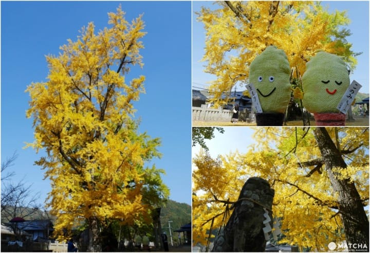 塩江温泉