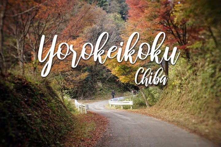 นั่งรถไฟท้องถิ่นสไตล์เรโทร ชมใบไม้เปลี่ยนสีที่หุบเขา โยโรเคโคคุ ชิบะ (Yoro-keikoku Ravine, Chiba)