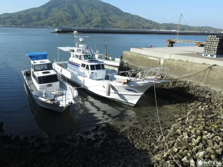 【福岡】說中文也會通!充滿藝術氣息的民宿「翼宿」