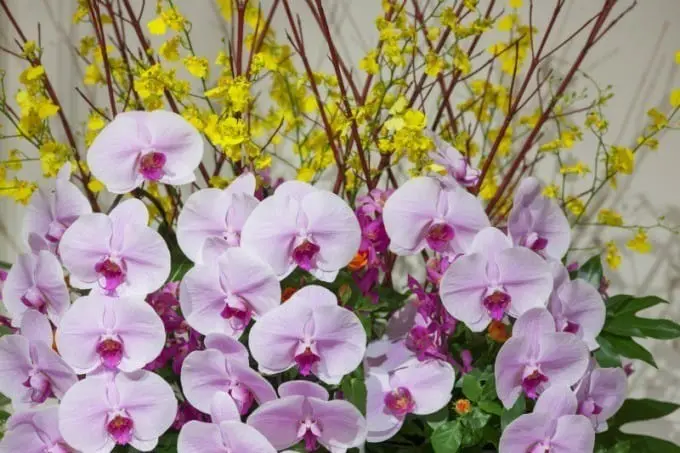 หนาวนี้ไปถ่ายรูปกับ 