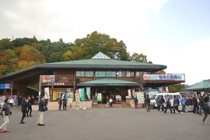 Bungee Amid Fall Colors! A Day Trip To Ibaraki's Most Beautiful Fall Spots