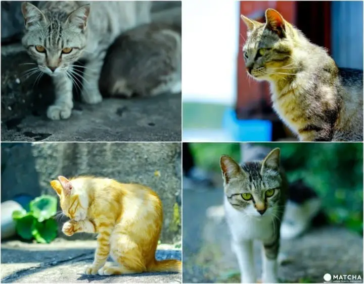 福岡デートスポット