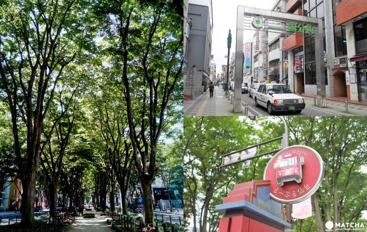 Menginap dengan Nyaman di Rumah ala Jepang “Keyaki Guest House” Sendai