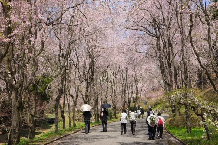 Kozan Sera Village of Friendship