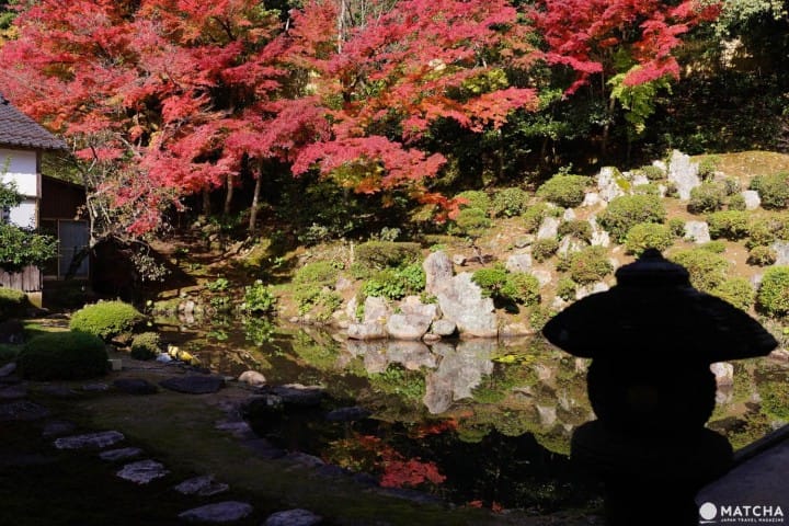 Top 6 Autumn Spots In Tottori - Colorful Nature Off The Beaten Path