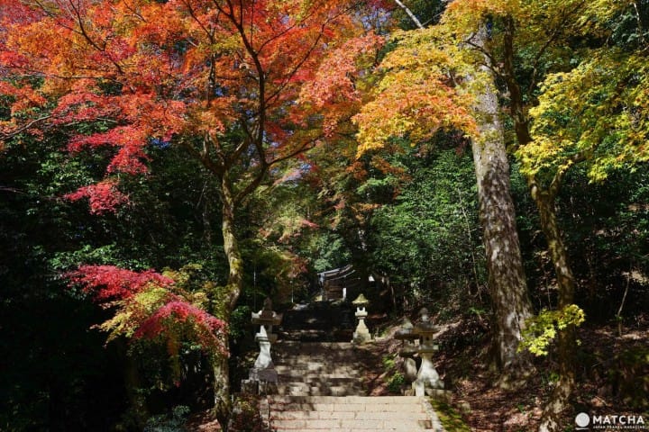 Top 6 Autumn Spots In Tottori - Colorful Nature Off The Beaten Path