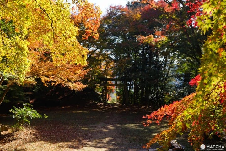 Top 6 Autumn Spots In Tottori - Colorful Nature Off The Beaten Path