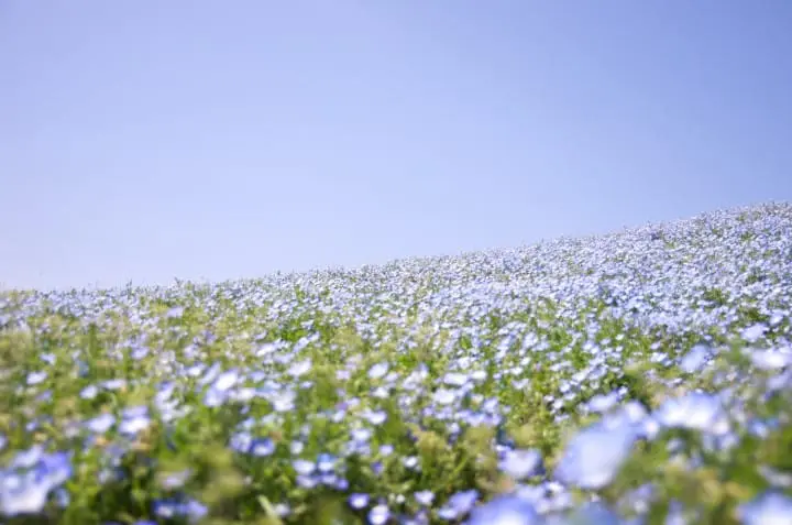 福岡デートスポット