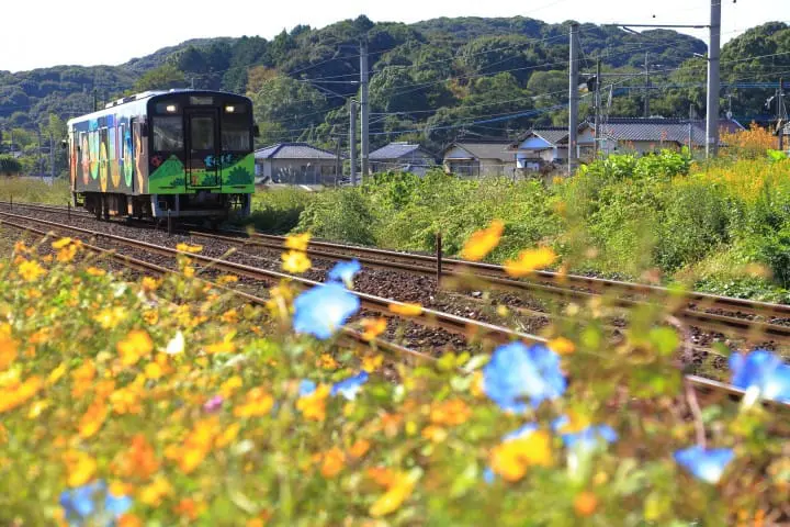 福岡デートスポット