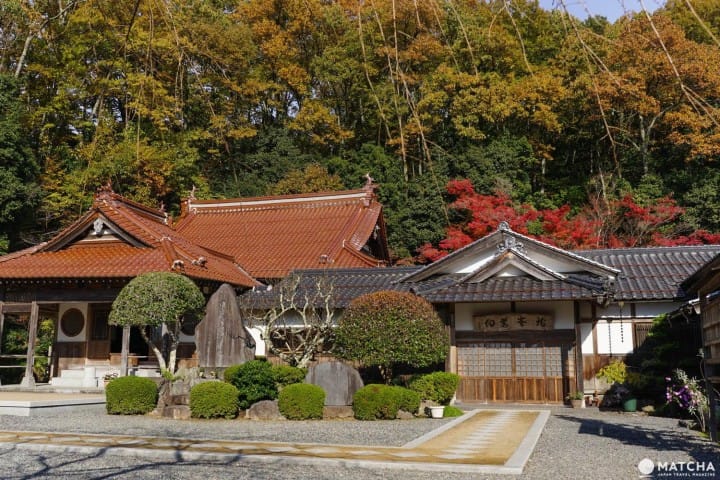 Top 6 Autumn Spots In Tottori - Colorful Nature Off The Beaten Path