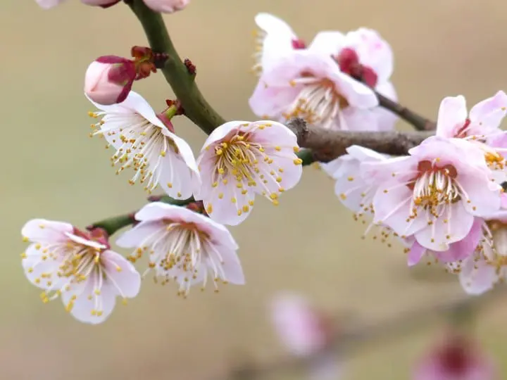 สารพันเรื่องราวของ 