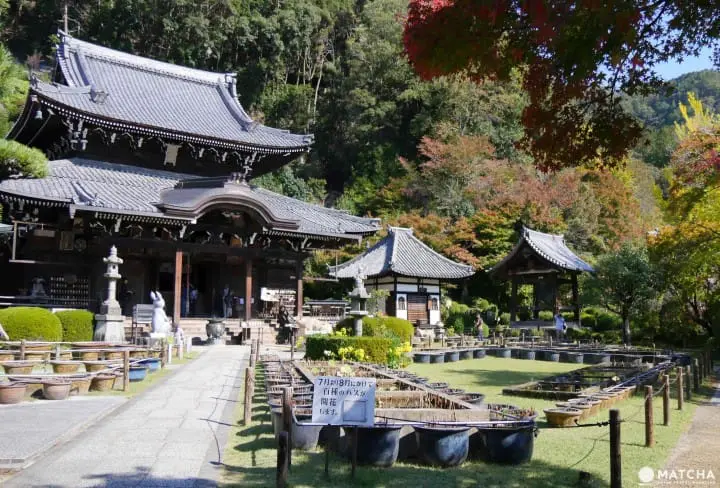 Very Rare! Top 5 Charms From Shrines and Temples in Kyoto and Osaka