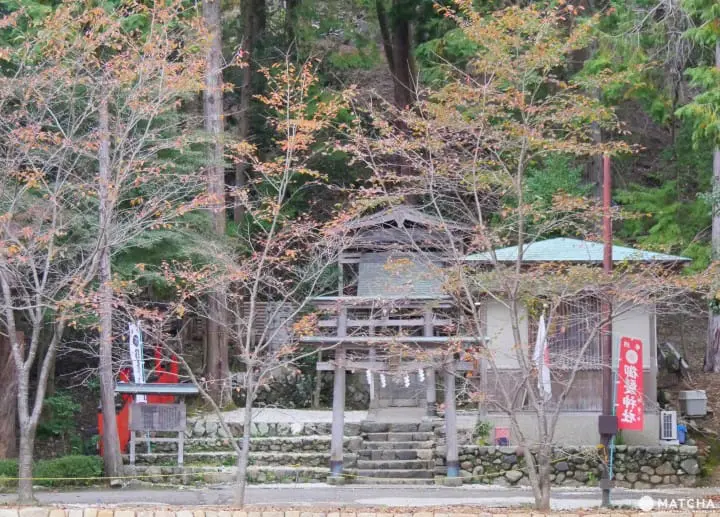 Very Rare! Top 5 Charms From Shrines and Temples in Kyoto and Osaka