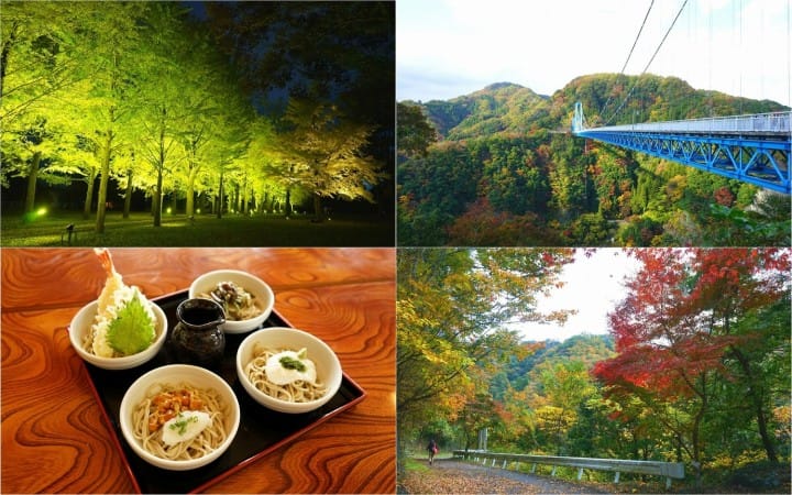 A Day Trip To Ibaraki's Most Beautiful Fall Spots