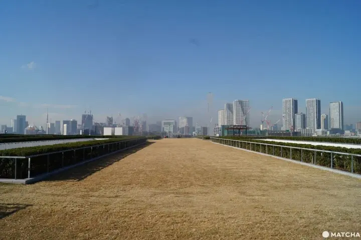 豊洲市場の楽しみ方ガイド　〜移転後の人気店の様子をチェック！