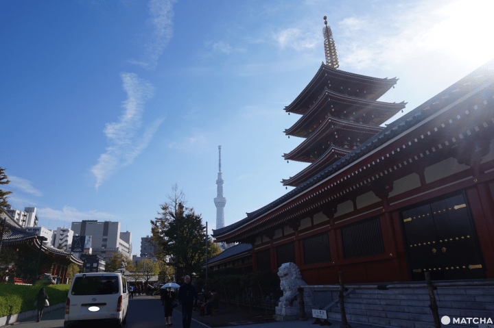 Wisata Ala Backpacker 7 Hari di Area Tokyo